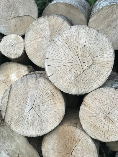 A Photo of Wooden Logs