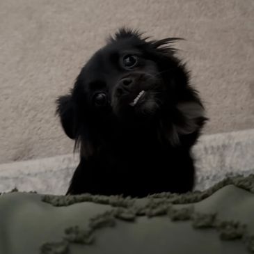 Doris