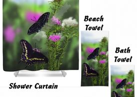 Black Swallowtail Digital Painting - Collection from Robert R. Rearick, artist, art gallery, 
