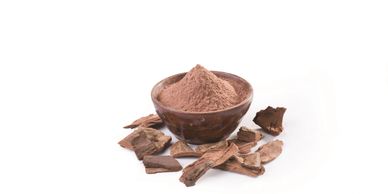 Bowl of brown powder surrounded by dried bark pieces on white background.