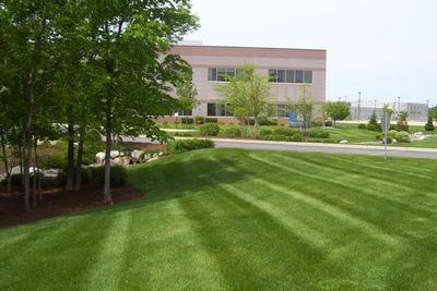 Well-maintained green lawn with striped mowing pattern in front of a modern commercial building.