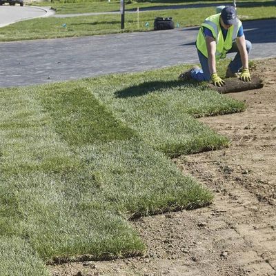 Worker installing sod on a lawn area beside a paved walkway in Etobicoke