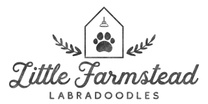 Little Farmstead Labradoodles