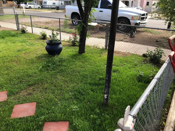 A small fenced yard with green grass and a blue planter near a tree.