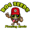 Rog Seeds