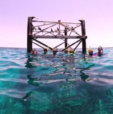 Group of people snorkeling in Key Largo Florida Keys.