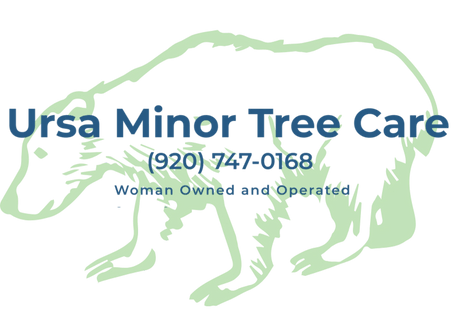 Ursa Minor Tree Care