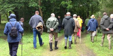 Woodland tour image to promote services for Greenleaf Forestry Limited