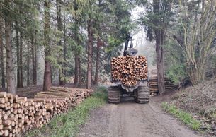 timber forwarder working with Greenleaf Forestry Limited