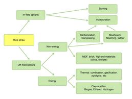 rice straw management. credits to knowledgebank.irri.org