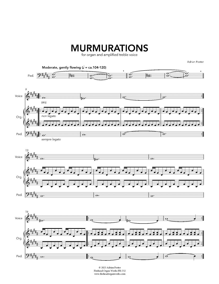 Murmuration Notelets FH352: Murmurations