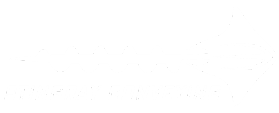 Stingray Conveying Innovations 