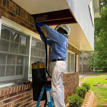 Bee removal, licensed and insured, serving northeast Georgia