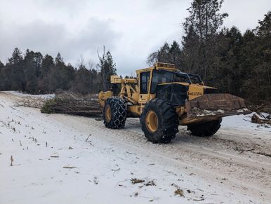 skidding felled trees