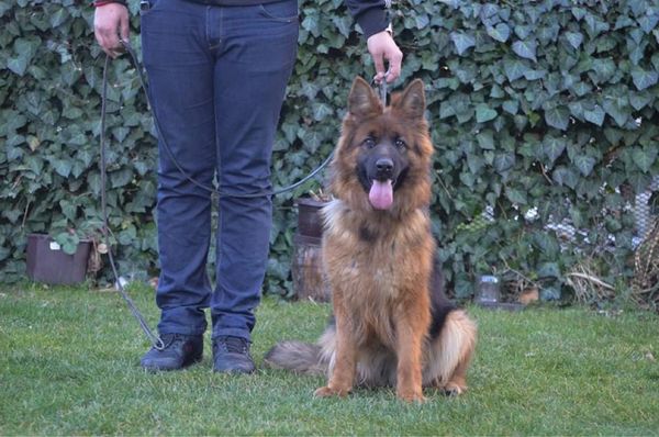 Opposite of Gradual: A Complete Guide to Sudden and Rapid Changes in Language and Usage visual data 8