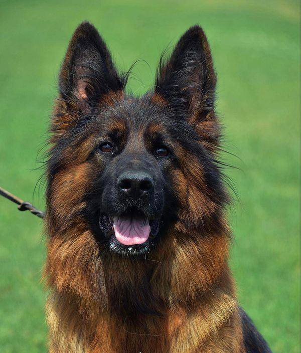 Opposite of Gradual: A Complete Guide to Sudden and Rapid Changes in Language and Usage visual data 7