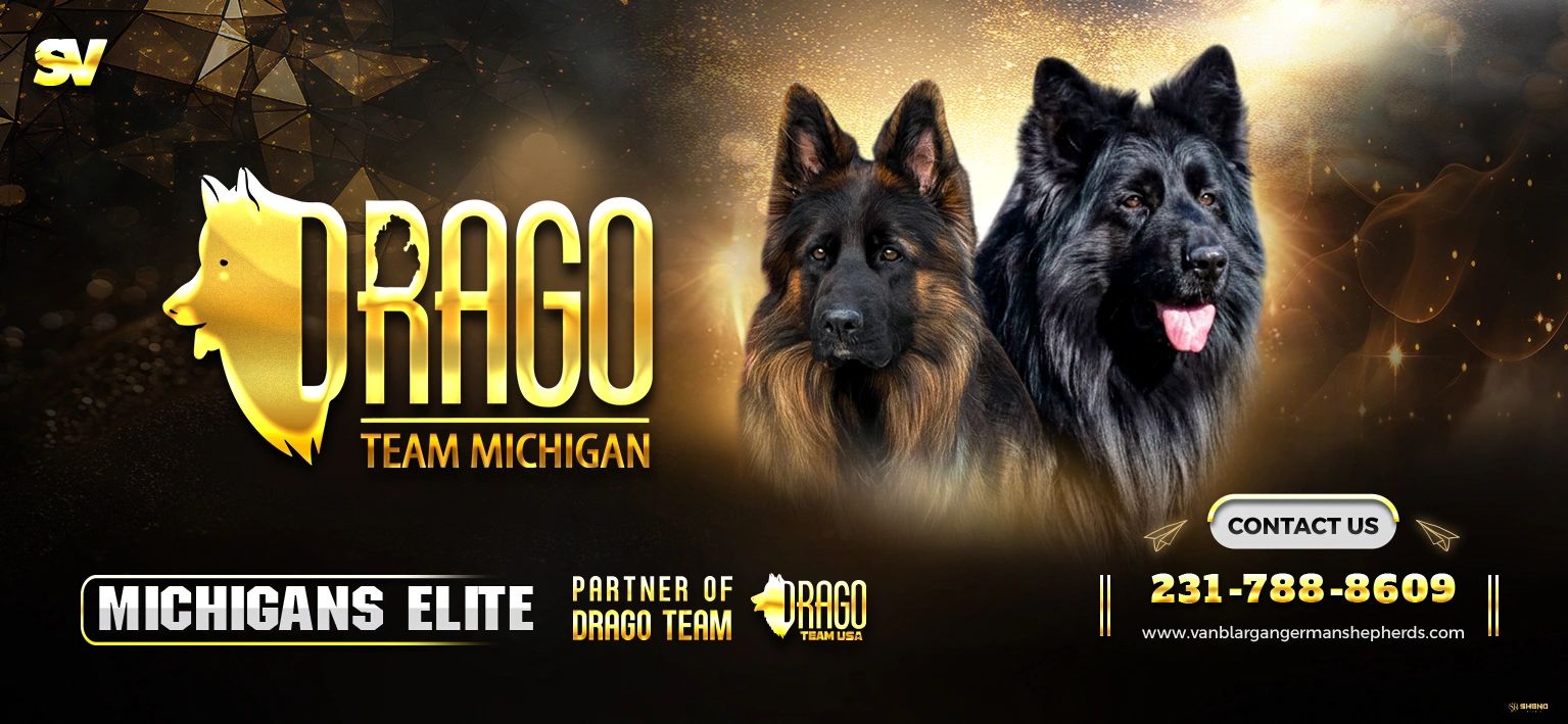 Puppy Packets | VanBlargan German Shepherds