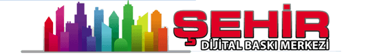ŞEHİR AJANS