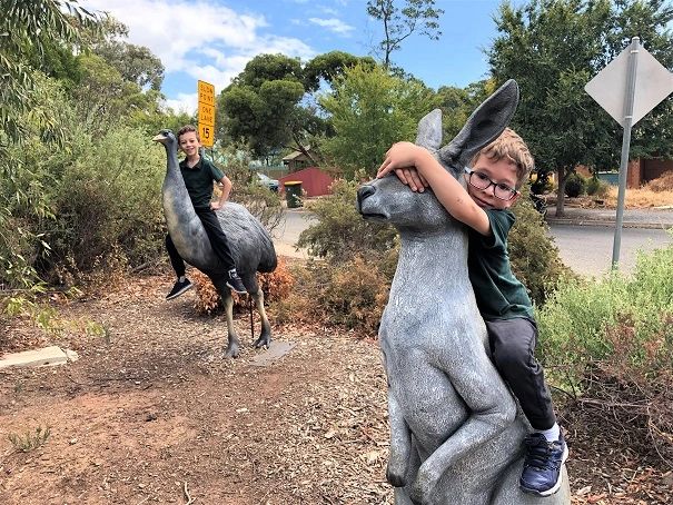 OUTBACK ADVENTURE PARK (Anderson Court, Newton)