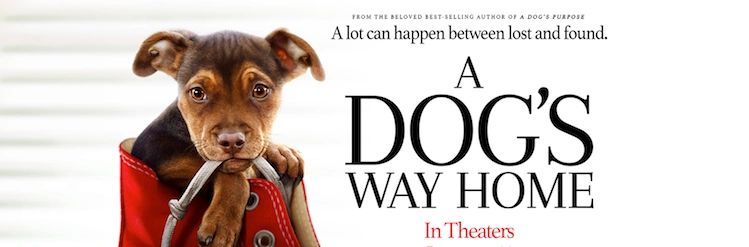 Palace Nova Movie Review A Dog S Way Home