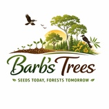 Barbs Trees