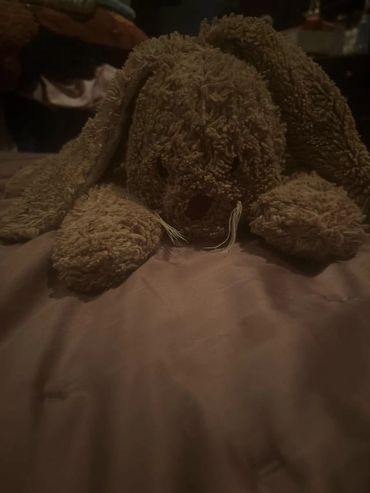 oval-like black plastic eyes, a brown nose, pale whiskers, pale back under feet, and tail