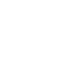 SBH Branding