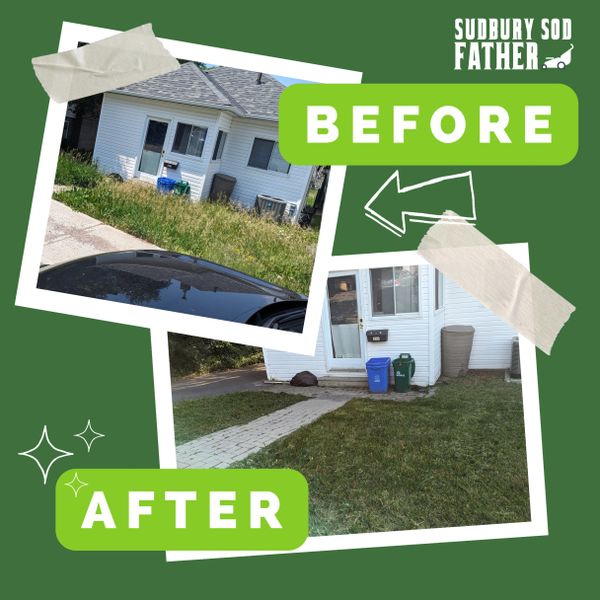 Before and after lawn cleanup showing a neat, freshly mowed yard.