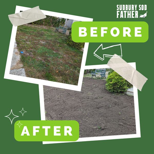Before and after lawn preparation showing cleared, tilled soil ready for sod.
