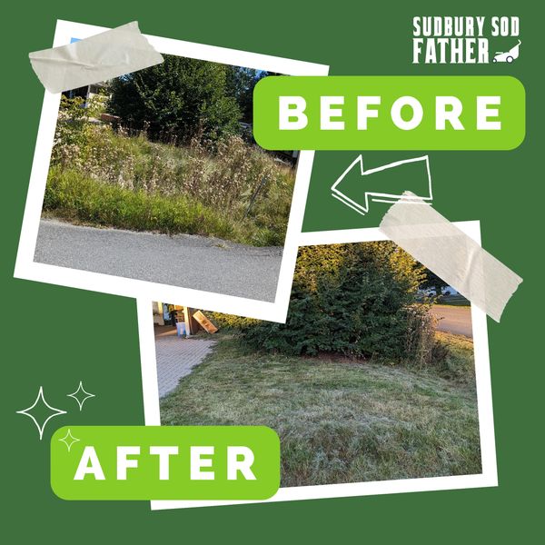 Before and after lawn mowing transformation by Sudbury Sod Father.