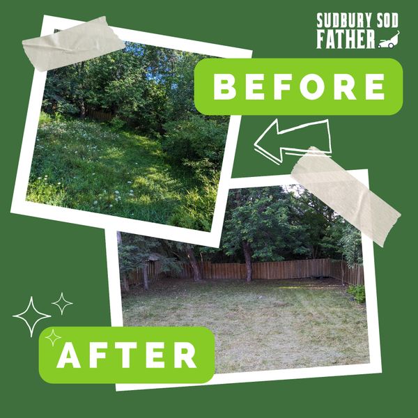 Before and after lawn mowing by Sudbury Sod Father.