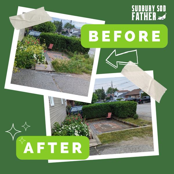 Before and after lawn cleanup and landscaping transformation.