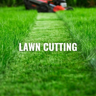 Freshly mowed green lawn with a visible strip and a lawnmower in the background.