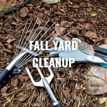 Garden tools including a rake, gloves, and pruning shears on dry leaves.