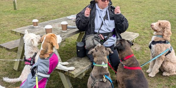 Ange with a group of dogs doing training in a cafe