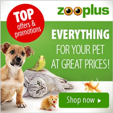 Zooplus is great for dog and cat food. dog toys, bird food, natural dog chews