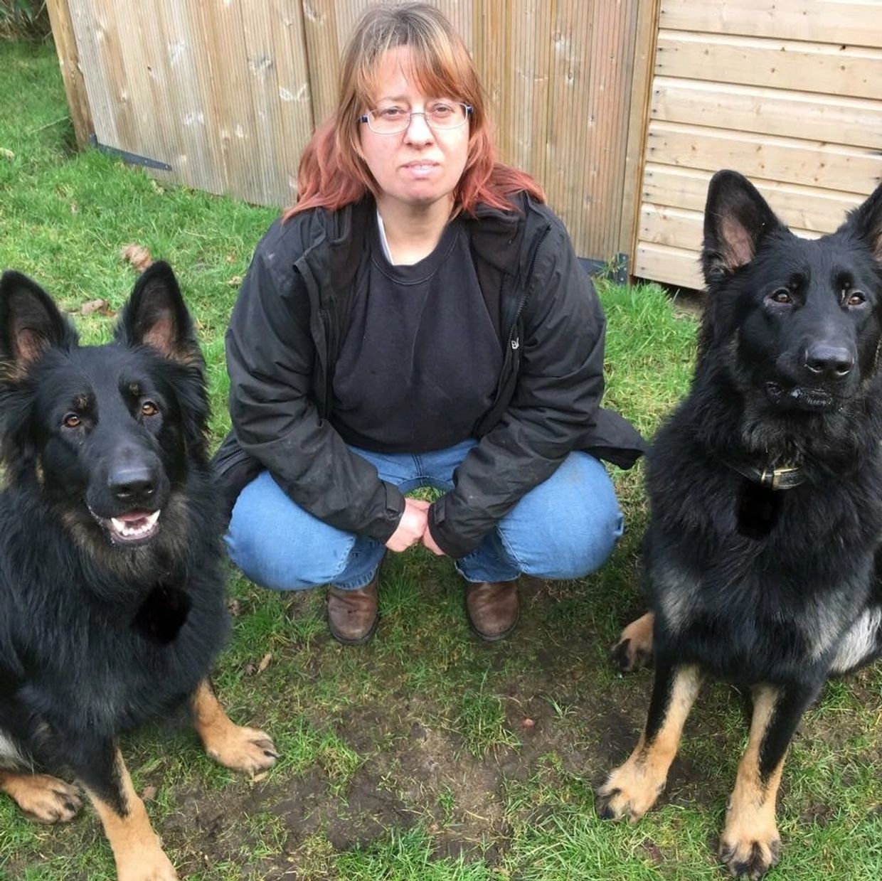 Woman squatting on grass with two black German Shepherd dogs.