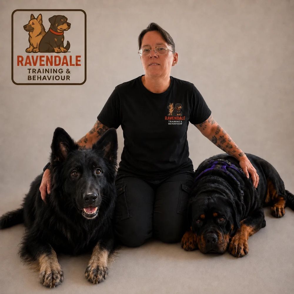 Ange with her German Shepherd Odin and her Rottweiler Raven