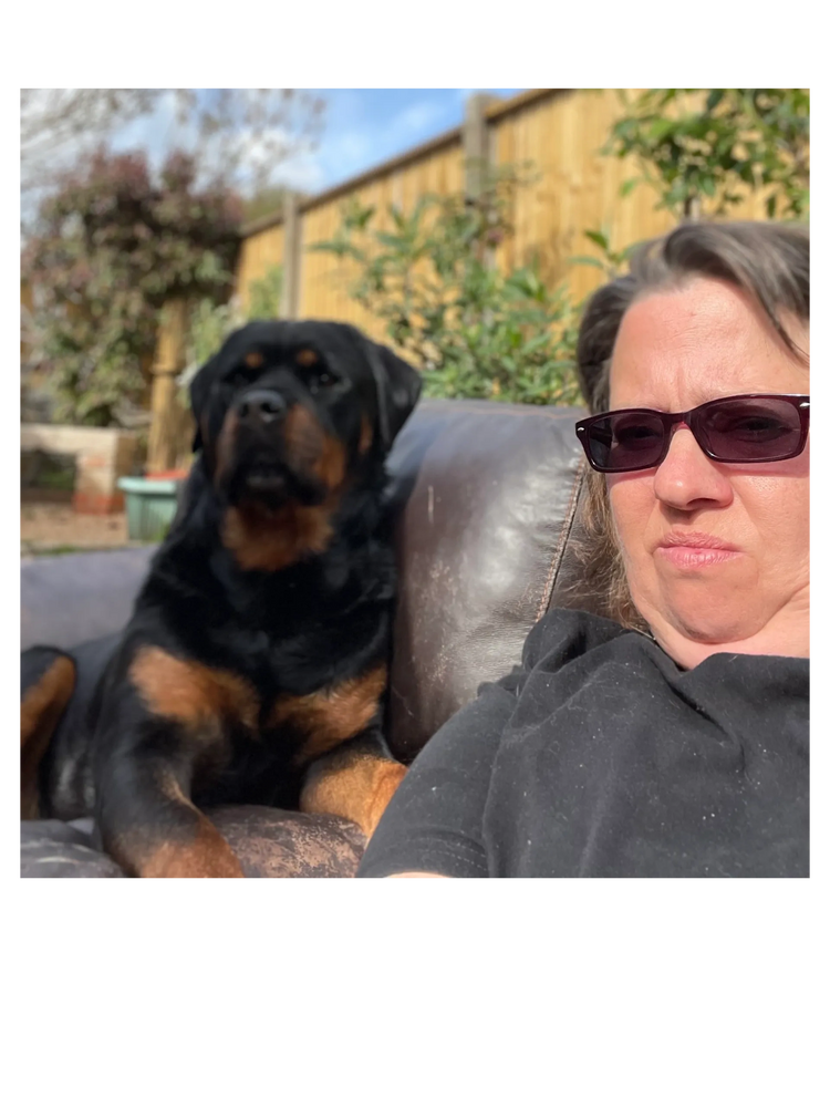 Dog Behaviourist and dog trainer relaxing with a Rottweiler in Partridge green (she loves a Rottie).