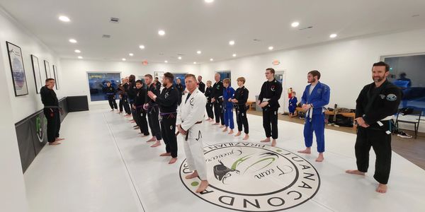 Brazilian Jiu Jitsu Professor and class 