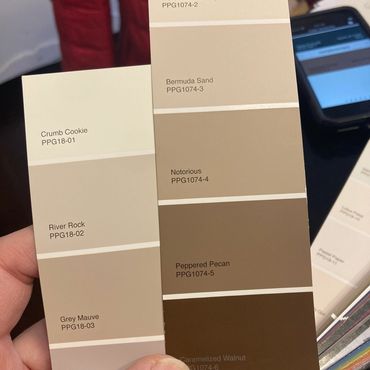 Close-up of paint swatches showing various neutral and brown shades.