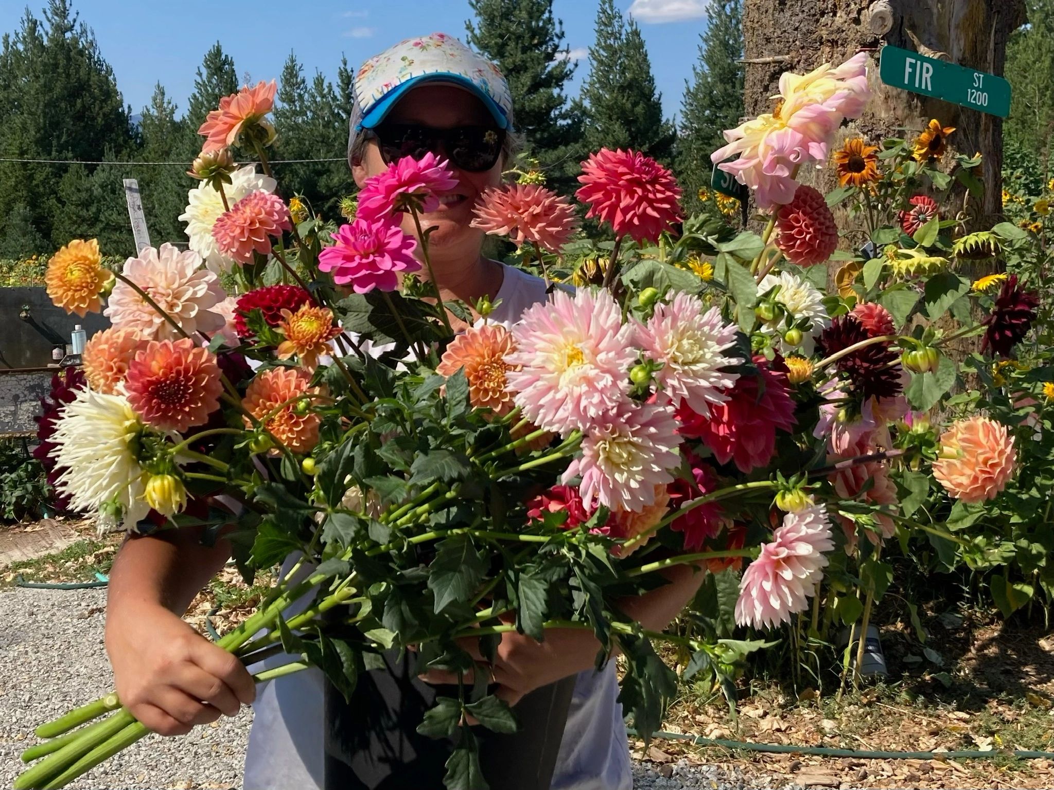 Grumpy Chicken Farm UPick Flower Farm Sandpoint, Idaho