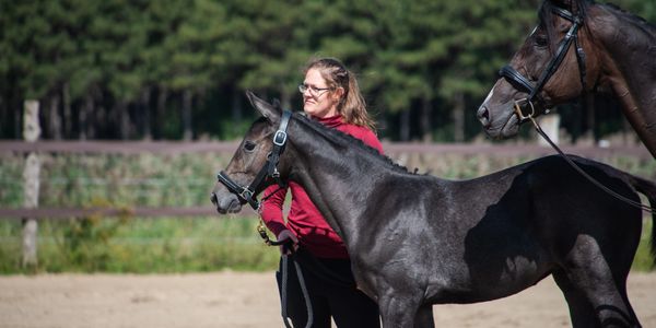 A woman stands beside a dark foal in an outdoor paddock.