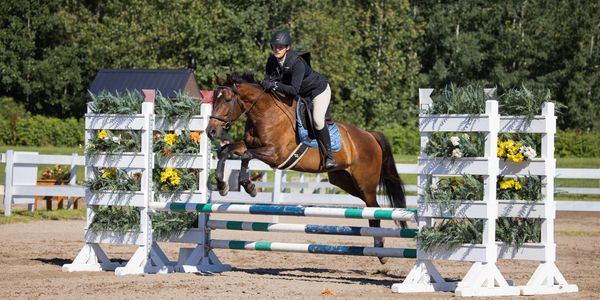 Equestrian rider jumping a horse over a decorated obstacle in an outdoor arena.