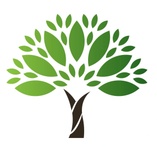 Transform Your Mind. Transform Your Life 