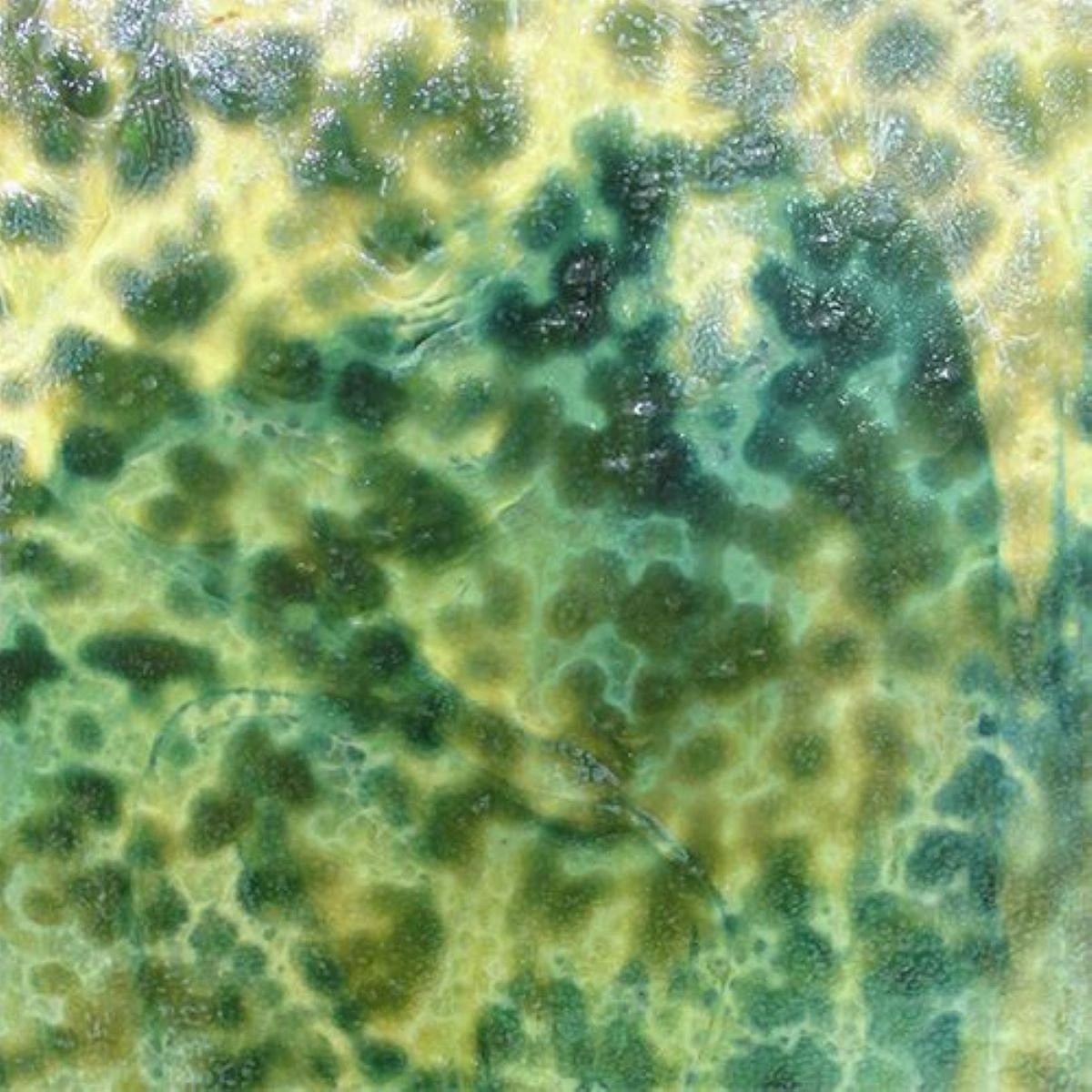 Glass Non Fuseable glass-non-fuseable