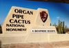 Organ Pipe Cactus National Monument  Arizona