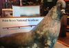 The General Sherman Tree...the world's largest living thing