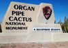 Organ Pipe Cactus National Monument