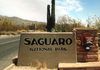 Saguaro National Park 